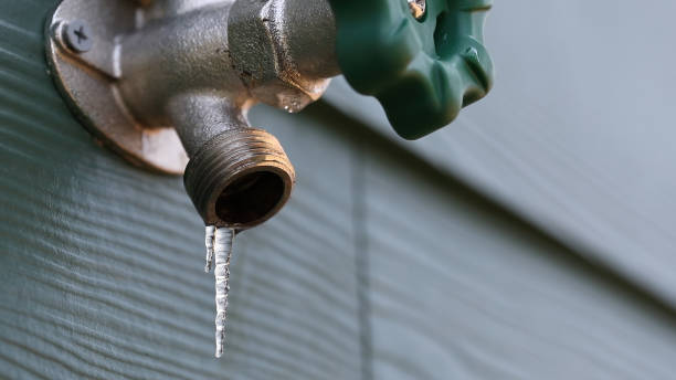 Best 24-Hour Plumber Near Me  in Eureka, IL